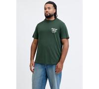 Kurzarmshirt "JORNORREBRO TYPO TEE SS CREW NECK PLS", Herren, Gr. 4XL, sycamore, Jersey, Obermaterial: 100% Baumwolle, JACK & JONES PLUSSIZE, bedruckt, regular fit normal, Rundhals, gerader Abschluss,