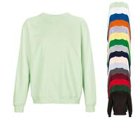 L03814 Sol´s Unisex Columbia Rundhals Sweatshirt Creamy Green L