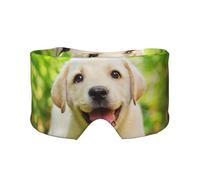 Labrador Retriever Welpe, Vollständige Augenabdeckungen, lichtblockierende Augenmaske, Schlafaugen- und Ohrenschützer