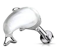 Labret Wal Opal Silber Innengewinde