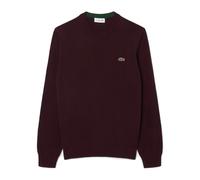 Lacoste - Baumwollpullover mit Rundhalsausschnitt - - Knitwear - Herren - Braun - S