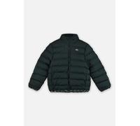 Lacoste - Bekleidung Mid Wt Puffer - Grün - Größe 16A