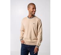 Lacoste Regular Fit Strickpullover aus reiner Baumwolle in Beige, Größe L