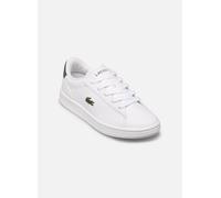 Lacoste - CARNABY SUC - weiß - Sneaker - Größe 33