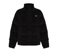Lacoste - Gesteppte Jacke mit Logo-Patch - - Jackets - Herren - Schwarzk - L