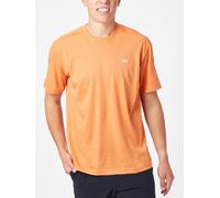 Lacoste T - Shirt Herren