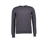 LACOSTE Pullover Herren Regular Fit Rundhals Merinowolle grau, 58 (3XL)