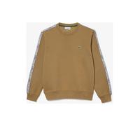 Lacoste Sweatshirt in Camel - Größe XS | Herren Plussize