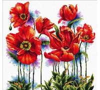 Ladybird Stickset schöne Mohnblumen, Kreuzstich-Set ca. 40 x 40 cm, Komplett-Set für ein eckiges Stickbild, handwerkliches Hobby für Erwachsene und Kinder ab 8 Jahren