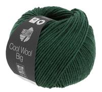 LANA GROSSA Cool Wool Big Melange | Extrafeine Merinowolle waschmaschinenfest und filzfrei | Handstrickgarn aus 100% Schurwolle (Merino) | 50g Wolle zum Stricken & Häkeln | 120m Garn FB 1625