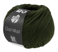 LANA GROSSA Cool Wool Melange | Extrafeine Merinowolle waschmaschinenfest und filzfrei | Handstrickgarn aus 100% Schurwolle (Merino extrafein) | 50g Wolle zum Stricken & Häkeln | 160m Garn FB 1495