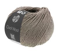Cool Wool Mélange 1421 graubraun meliert