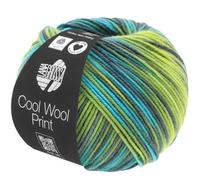 LANA GROSSA Cool Wool Print | Extrafeine Merinowolle waschmaschinenfest und filzfrei | Handstrickgarn aus 100% Schurwolle (Merino extrafein) | 50g Wolle zum Stricken & Häkeln | 160m Garn FB 784