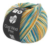 LANA GROSSA Cool Wool Print | Extrafeine Merinowolle waschmaschinenfest und filzfrei | Handstrickgarn aus 100% Schurwolle (Merino extrafein) | 50g Wolle zum Stricken & Häkeln | 160m Garn FB 835