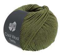 LANA GROSSA Cool Wool Seta | Cool Wool Klassiker mit Seidenanteil | Handstrickgarn aus 80% Schurwolle (Merino extrafein) & 20% Seide | 50g Wolle zum Stricken & Häkeln | 160m Garn FB 6