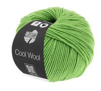 LANA GROSSA Cool Wool Uni | Extrafeine Merinowolle waschmaschinenfest und filzfrei | Handstrickgarn aus 100% Schurwolle (Merino extrafein) | 50g Wolle zum Stricken & Häkeln | 160m Garn FB 509
