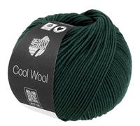 LANA GROSSA Cool Wool Uni | Extrafeine Merinowolle waschmaschinenfest und filzfrei | Handstrickgarn aus 100% Schurwolle (Merino extrafein) | 50g Wolle zum Stricken & Häkeln | 160m Garn FB 2120