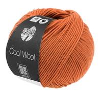 LANA GROSSA Cool Wool Uni | Extrafeine Merinowolle waschmaschinenfest und filzfrei | Handstrickgarn aus 100% Schurwolle (Merino extrafein) | 50g Wolle zum Stricken & Häkeln | 160m Garn FB 2116