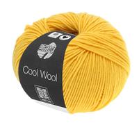LANA GROSSA Cool Wool Uni | Extrafeine Merinowolle waschmaschinenfest und filzfrei | Handstrickgarn aus 100% Schurwolle (Merino extrafein) | 50g Wolle zum Stricken & Häkeln | 160m Garn FB 419
