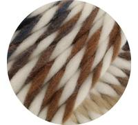 LANA GROSSA Dolce | Dickes, locker verzwirnt Merino-Dochtgarn mit Mouliné- Effekt | Handstrickgarn aus 100% Schurwolle (Merino, basolan) | 100g Wolle zum Stricken & Häkeln | 50m GarnFB 1