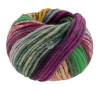 Lana Grossa Filzgarn Feltro Bosco – 100% Schurwolle, 50g/50m, zum Stricken & Häkeln, FB 722
