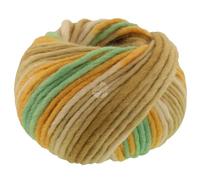 LANA GROSSA Feltro Print | Filzgarn für Kreativhandwerk, hochwertige Wolle zum Nass- und Trockenfilzen | Handstrickgarn aus 100% Schurwolle | 50g Wolle zum Stricken & Häkeln | 50m FB 1312