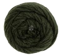 LANA GROSSA Landlust die Filzwolle | Filzgarn aus 100% Schurwolle | Handstrickgarn aus 100% Schurwolle | 100g Wolle zum Stricken & Häkeln | 100m Garn FB5010