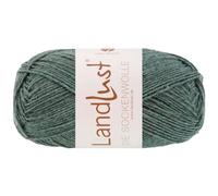 LANA GROSSA Landlust die Sockenwolle 50g | Klassisches Sockengarn in edlen Melangefarben aus 80% Schurwolle (Merino) & 20% Polyamid | 50g waschmaschinenfest zum Stricken & Häkeln | 210m Garn FB1611
