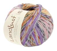 LANA GROSSA Landlust Sockenwolle 6-fach | Klassiker, bedruckt und waschmaschinenfest | Handstrickgarn aus 80% Schurwolle (Merino) & 20% Polyamid | 150g Wolle zum Stricken & Häkeln | 390m Garn FB927