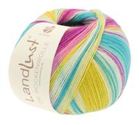 Lana Grossa Landlust Sockenwollgarn 113 Bunt gestreift