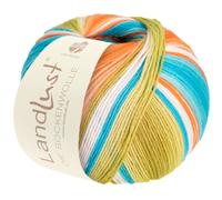LandLust die Sockenwolle 4-fach 117 - Bunte Streifen