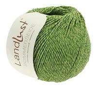 LANA GROSSA Landlust Sommerseide | Feines & leichtes Baumwoll-Seidengarn | Handstrickgarn aus 50% Seide & 50% Baumwolle | 50g Wolle zum Stricken & Häkeln | 170m Garn FB 31