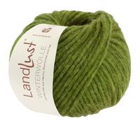 LANA GROSSA Landlust Winterwolle | Soffilo mit Yakfasern | Handstrickgarn aus 50% Schurwolle (Merino), 35% Baumwolle & 15% Yak | 50g Wolle zum Stricken & Häkeln | 70m Garn FB36