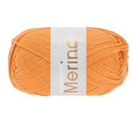 LANA GROSSA Meilenweit 100 Merino extrafine | Hochwertiges Sockengarn, waschmaschinenfest | Handstrickgarn aus 75% Schurwolle & 25% Polyamid | 100g Wolle, Stricken & Häkeln | 420m Garn FB2407