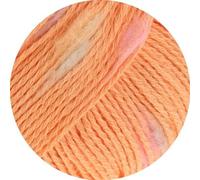 LANA GROSSA Popcorn | Effektnetzgarn gefüllt mit bunten, flauschigen Farbspots | Handstrickgarn aus 100% Baumwolle | 50g Wolle, Stricken & Häkeln | 125m Garn FB 2