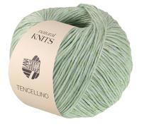 LANA GROSSA Tencellino | Klassisch verzirntes Garn aus natürlich mattem Leinen & seidig glänzendem Tencel | Handstrickgarn aus 51% Leinen & 49% Tencel | 50g Wolle zum Stricken & Häkeln | 125m FB 4