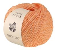 LANA GROSSA Tencellino | Klassisch verzirntes Garn aus natürlich mattem Leinen & seidig glänzendem Tencel | Handstrickgarn aus 51% Leinen & 49% Tencel | 50g Wolle zum Stricken & Häkeln | 125m FB 14