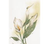 Lanarte Kreuzstich Stickpackungen Gezählter Kreuzstichbilder Set CALLA Wanddekoration Handarbeit Set für Erwachsene 50 x 60 cm DIY Deko Bastelset Handwerker Kreative Geschenkset