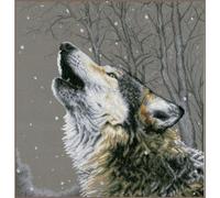 LANARTE Kreuzstich Stickpackungen Gezählter Kreuzstichbilder Set DIE STERNE ANHEULEN Wanddekoration Handarbeit Set für Erwachsene 42 x 44 cm DIY Deko Bastelset Handwerker Kreative Geschenkset