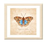Lanarte Kreuzstich Stickpackungen Gezählter Kreuzstichbilder Set JUNONIA COENIA Wanddekoration Handarbeit Set für Erwachsene 21 x 21 cm DIY Deko Bastelset Handwerker Kreative Geschenkset