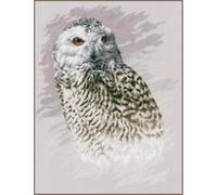 Lanarte Kreuzstich Stickpackungen Gezählter Kreuzstichbilder Set SNOWY OWL Wanddekoration Handarbeit Set für Erwachsene 29 x 38 cm DIY Deko Bastelset Handwerker Kreative Geschenkset