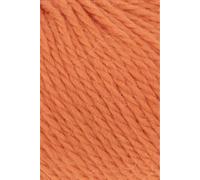 Lang Yarns Carpe Diem 714.0259 - Kürbis