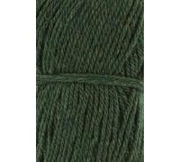 Lang Yarns Donegal Woolen Spun 1172.0017 - grün