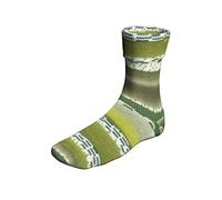 Lang Yarns HotDrinks Soxx-Kollektion 2022! 150g "Super Soxx color " - Farbe: 378 - MatchTea - 6-fädig