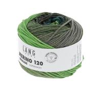 Lang Yarns Merino 120 Dégradé 37.0002