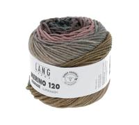 Lang Yarns Merino 120 Dégradé 37.0006