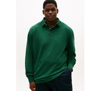 Langarm-Poloshirt "BT-1985 REGULAR LS POLO-B", Herren, Gr. 4XL, grün (ornamental grün), Jersey, Obermaterial: 96% Baumwolle, 4% Elasthan, TOMMY HILFIGER BIG & TALL, Shirts, in Großen Größen (45132742-