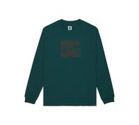 Langarmshirt DC SHOES "DC Star Hls", Herren, Gr. M, grün (ponderosa pine), Obermaterial: 75% Baumwolle, 25% Baumwolle., Shirts Langarmshirt (44704936-M) ponderosa pine