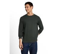 Langarmshirt TOM TAILOR, Herren, Gr. L, grün (schwarzest olive), Single Jersey, Obermaterial: 100% Baumwolle, gestreift, regular fit hüftbedeckend, Rundhals, abgesteppte Kante, Shirts Langarmshirt, Ru