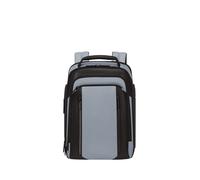 Laptoprucksack SAMSONITE "SPECTROLITE 4.0", Gr. B/H/T: 29cm x 41cm x 14cm, cloudy grau, Rucksäcke Laptoprucksack, Geschäftsrucksack, Businessrucksack mit vielen Fächern (14887261-0) cloudy grau